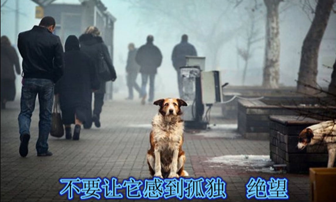防城港防城港爱影圈微博微信转发案例